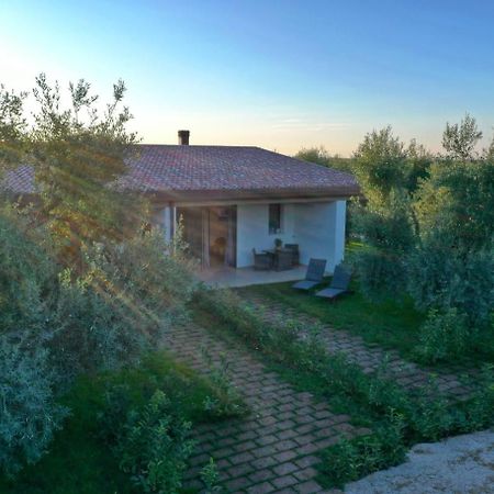 Bed and Breakfast I Secolari Sannicandro di Bari Exterior foto