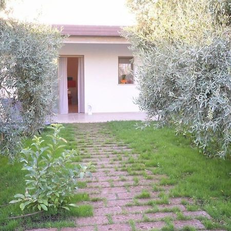 Bed and Breakfast I Secolari Sannicandro di Bari Exterior foto