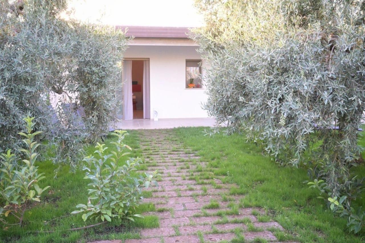 Bed and Breakfast I Secolari Sannicandro di Bari Exterior foto